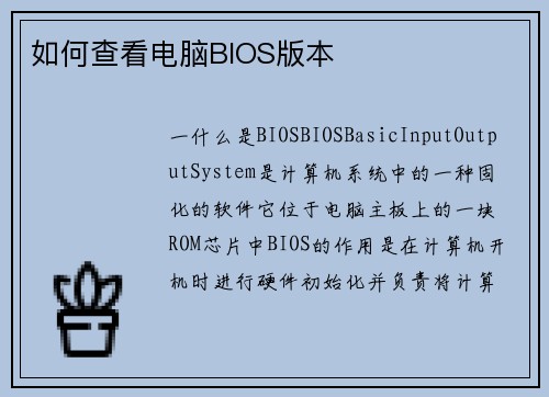 如何查看电脑BIOS版本